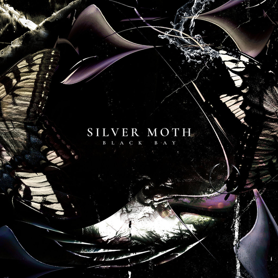 Black Bay Silver Moth