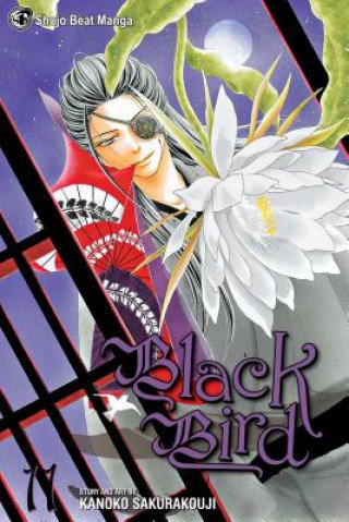 Black Bird. Volume 11 Kanoko Sakurakoji