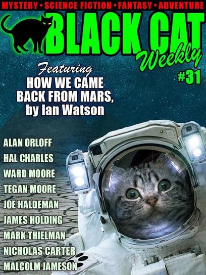 Black Cat Weekly #31 Wildside Press