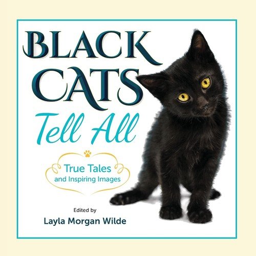 Black Cats Tell All Wilde Layla Morgan