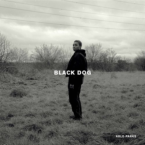 Black Dog Arlo Parks