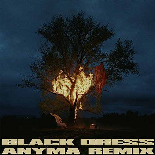 Black Dress 070 Shake, Anyma