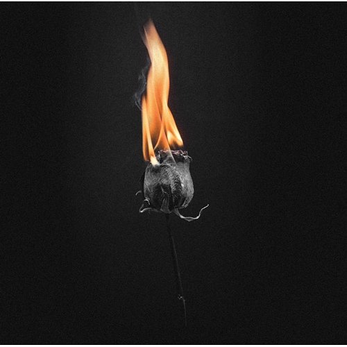 Black Flower GR€Y