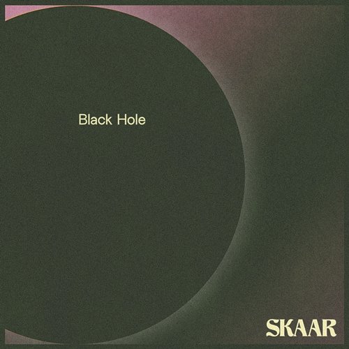 Black Hole SKAAR