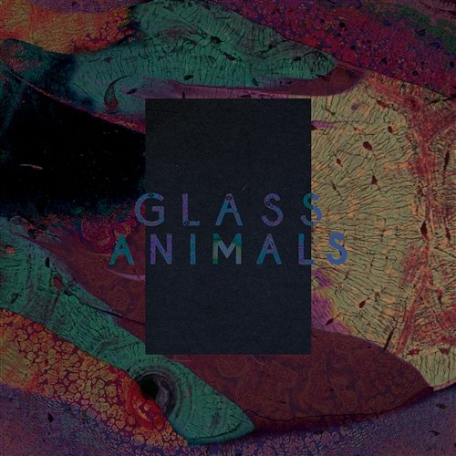Black Mambo / Exxus Glass Animals