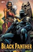 Black Panther By Reginald Hudlin: The Complete Collection Vol. 3 Hudlin Reginald, Aaron Jason