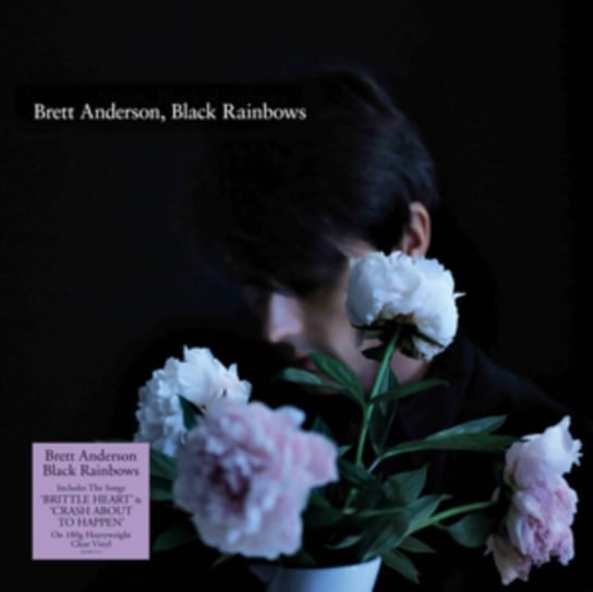 Black Rainbows (kolorowy winyl) Anderson Brett