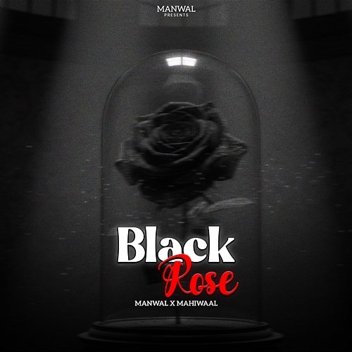 Black Rose Manwal, Mahiwaal