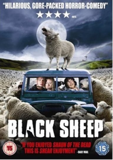 Black Sheep (brak polskiej wersji językowej) King Jonathan