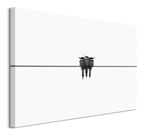 Black swallow - obraz na płótnie Nice Wall