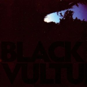 Black Vultures, płyta winylowa Norgren Daniel