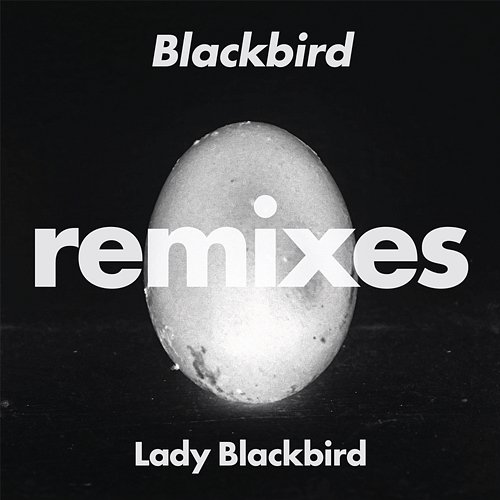 Blackbird Lady Blackbird