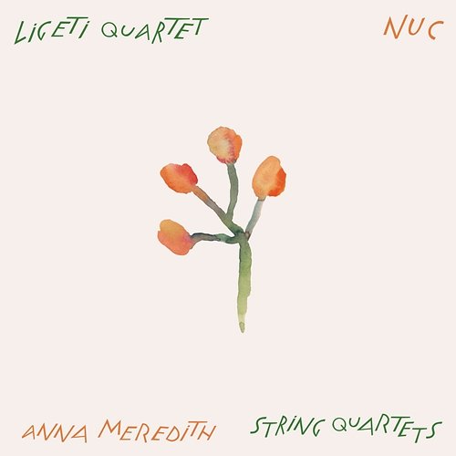 Blackfriars Ligeti Quartet, Anna Meredith