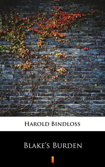 Blake’s Burden - ebook mobi Bindloss Harold