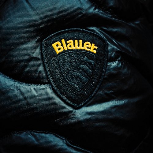 Blauer Flavio