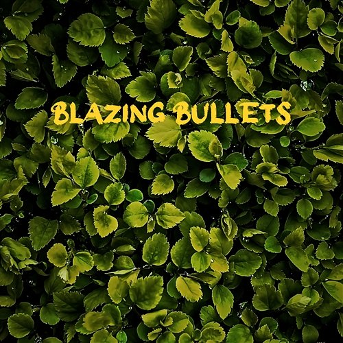 Blazing Bullets Felisha Schmidt