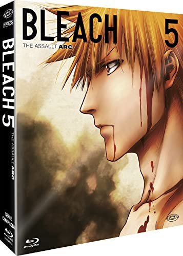Bleach - Arc 5: The Assault (Eps 92-109) Kusakawa Keizo, Kon Chiaki, Nishikata Yasuto, Tachikawa Yuzuru, Odaka Yoshinori, Kuramoto Hodaka, Shimizu Akira, Abe Noriyuki