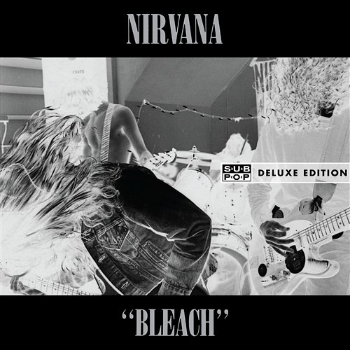 Bleach Nirvana