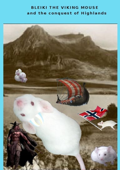 Bleiki The Viking Mouse And The Conquest Of Highlands Fabio Pozzoni