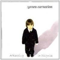 Blessing in Disguise Green Carnation