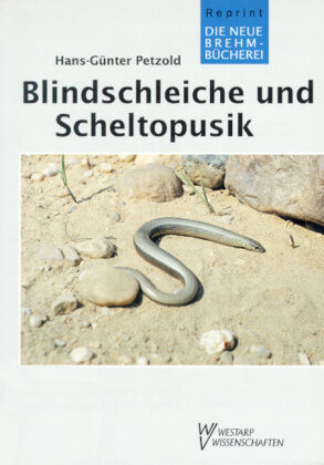 Blindschleiche und Scheltopusik Militzke