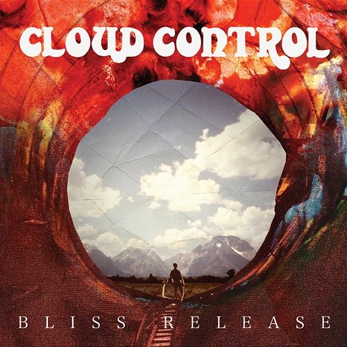 Bliss Release Cloud Control