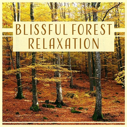 Blissful Forest Relaxation: Woodland Ambient, Soothing Music, Call of Nature, Sounds for Home Meditation, Better Sleep & Spa Massage Calm Singing Birds Zone