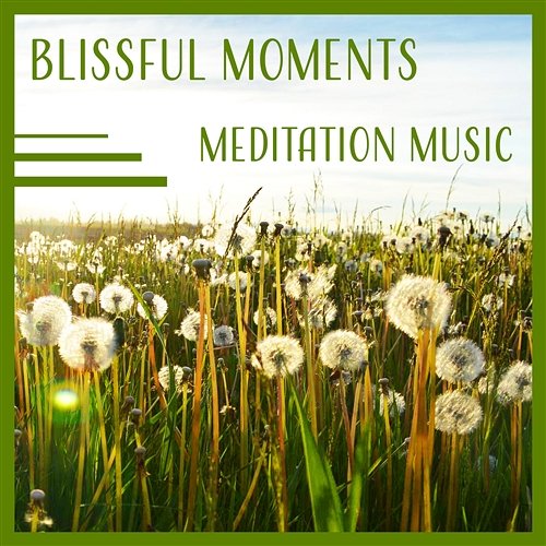 Blissful Moments – Meditation Music: Healing Relaxation & Calm Your Mind & Body & Soul Zen Natural Sounds