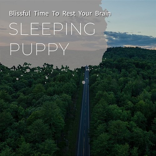 Blissful Time to Rest Your Brain Sleeping Puppy