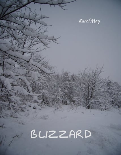 Blizzard May Karol