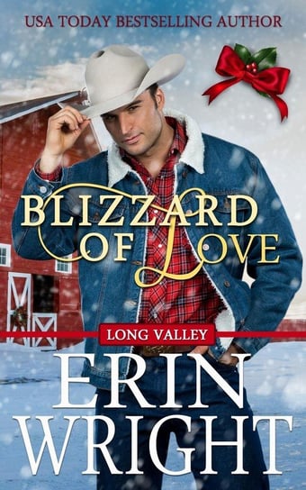 Blizzard of Love Erin Wright
