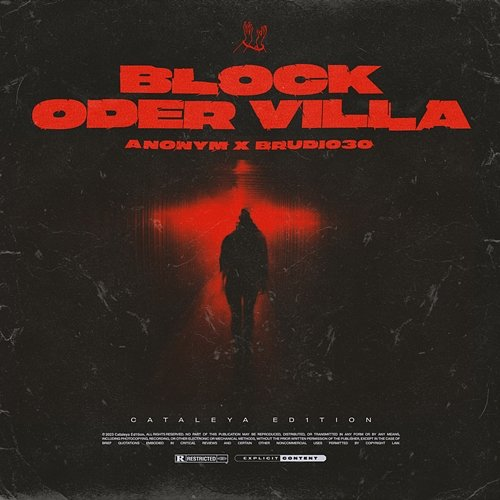 Block oder Villa Brudi030, Anonym