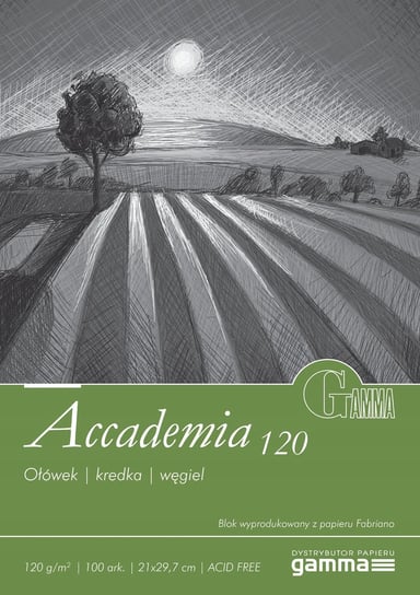 Blok GAMMA Accademia do rysunku i szkicu 21x29,7cm Gamma
