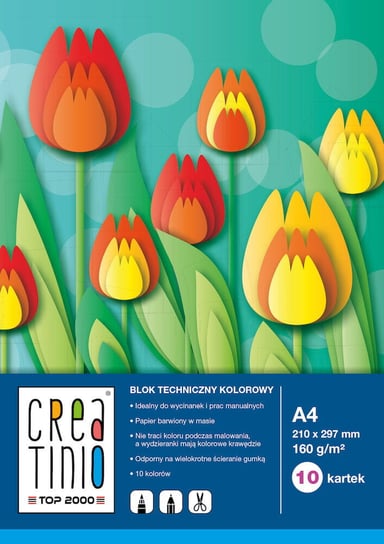 Blok techniczny kolorowy Creatino A4 10K 160G Top 2000