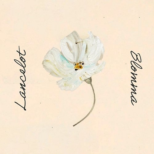 Blomma Lancelot