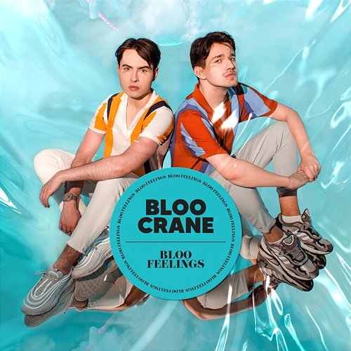 Can We Go Back Bloo Crane