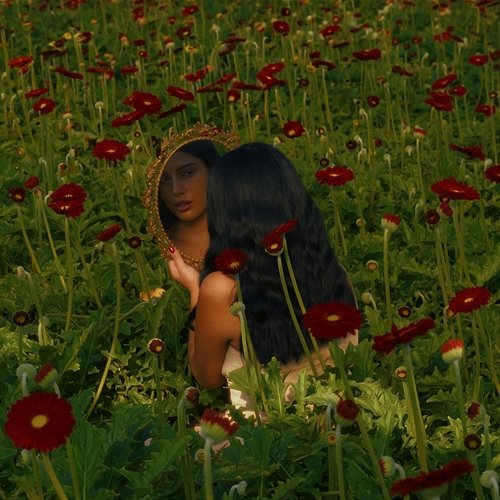 Bloom Again Sante SVM