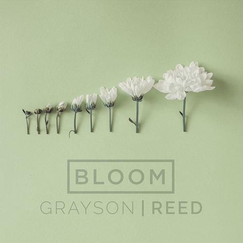 Bloom Grayson|Reed