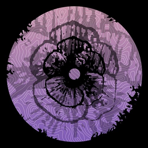 Bloom EP Pansy Alert