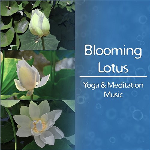 Blooming Lotus: Yoga & Meditation Music – Zen Nature Sounds, Healing Melody for Deep Meditation and Yoga Class, Serenity & Relaxation Healing Yoga Meditation Music Consort