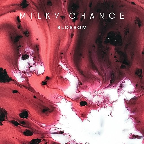 Blossom Milky Chance