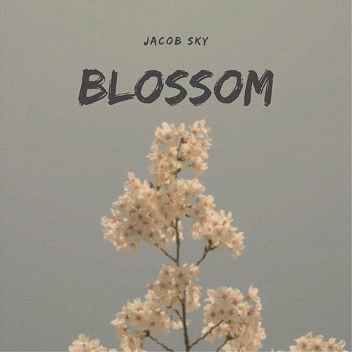 Blossom Jacob Sky