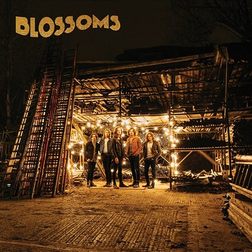 Blossoms Blossoms