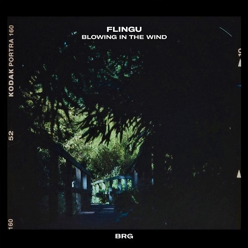 Blowing In The Wind Flingu & BRG Beats