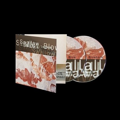 Blown Swallow