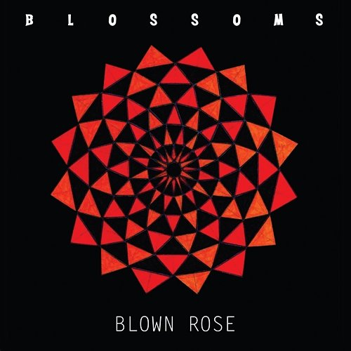 Blown Rose Blossoms