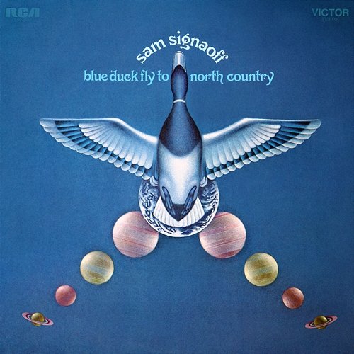 Blue Duck Fly to North Country Sam Signaoff