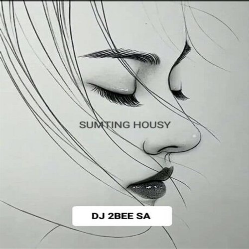 Blue Moon DJ 2BEE SA