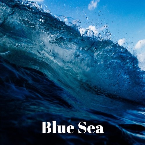 Blue Sea Casey Michaels III