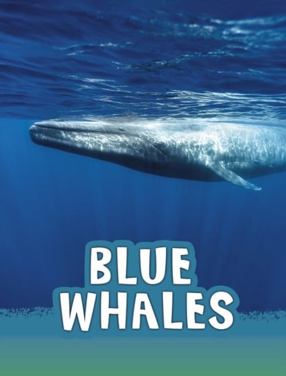 Blue Whales Mari Schuh